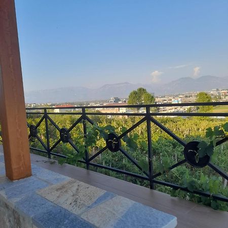 Vila Shehi Guesthouse And Winery Mucaj ภายนอก รูปภาพ