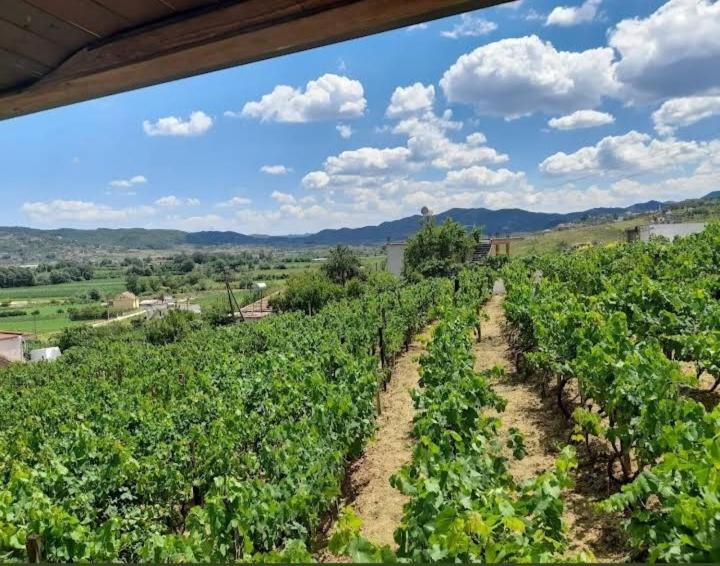 Vila Shehi Guesthouse And Winery Mucaj ภายนอก รูปภาพ